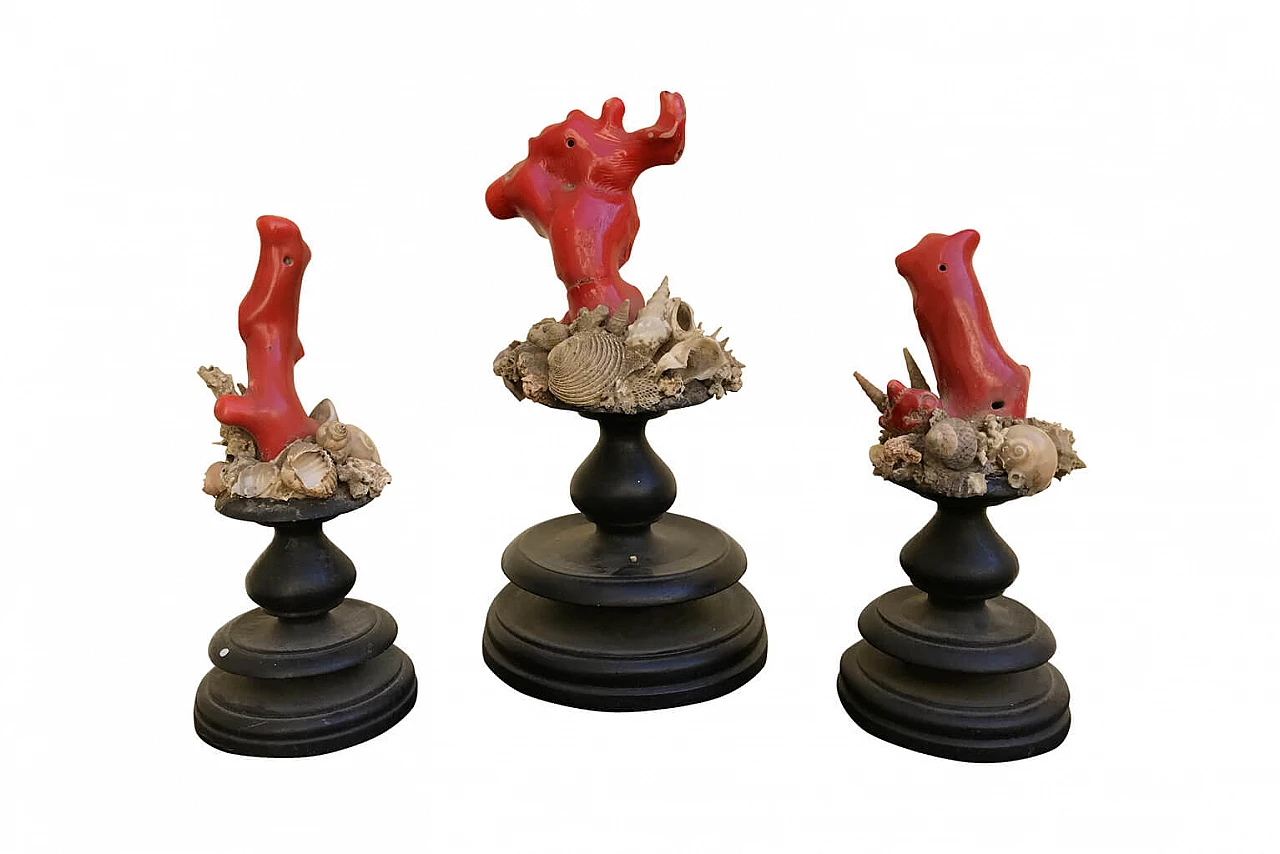 Set composto da 3 coralli antichi su base in legno nero 1