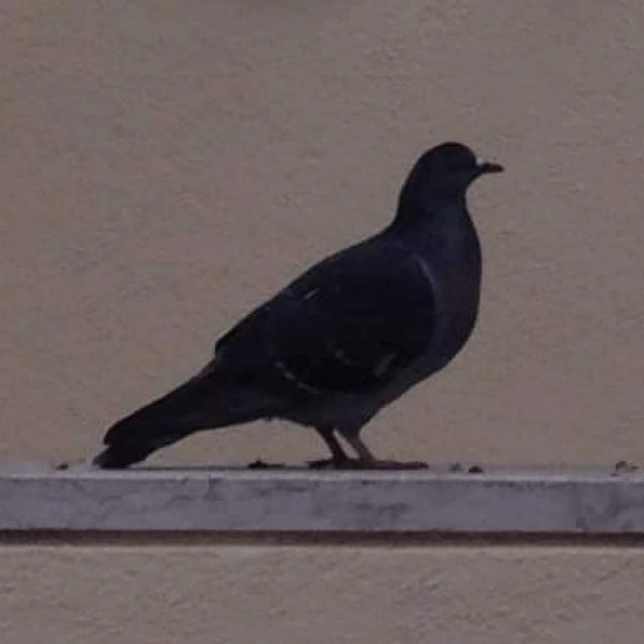 Lampada da scrivania con grande cappello verde 1059931