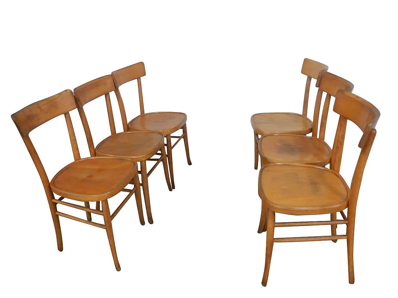 6 chairs in curved beech, 50's 1062941