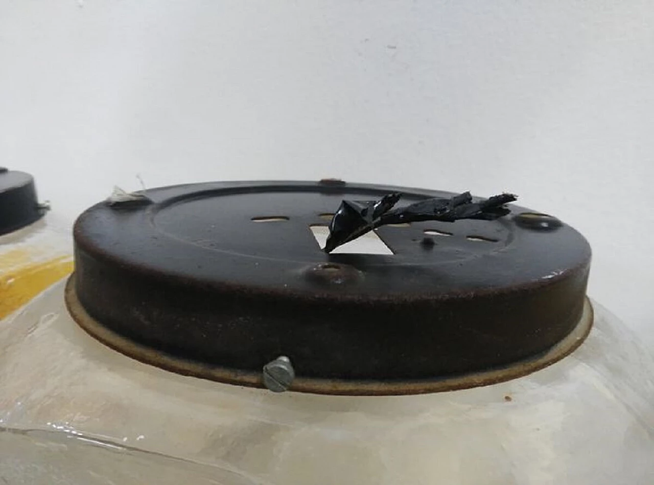 3 applique in vetro di Murano di Tony Zuccheri per Venini, anni '60 1073516