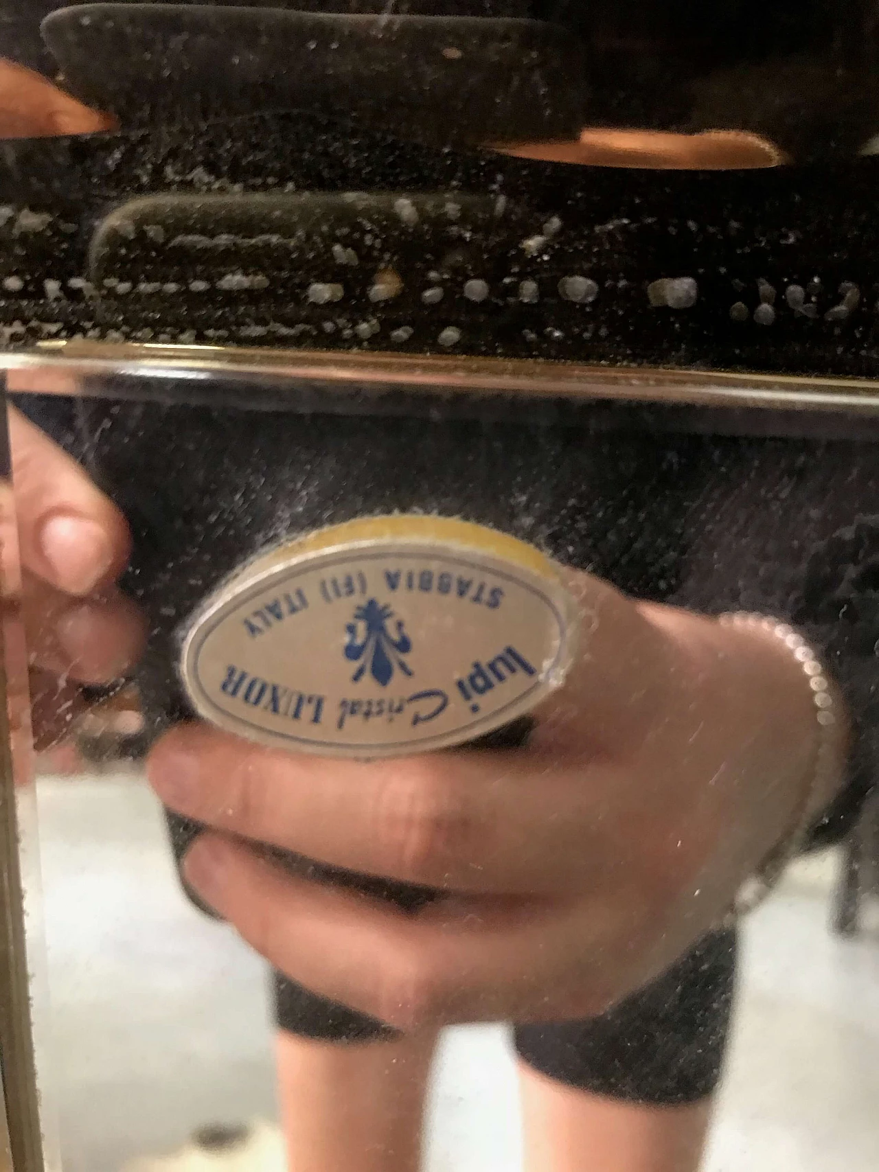 Specchio Lupi Cristalart 1074573