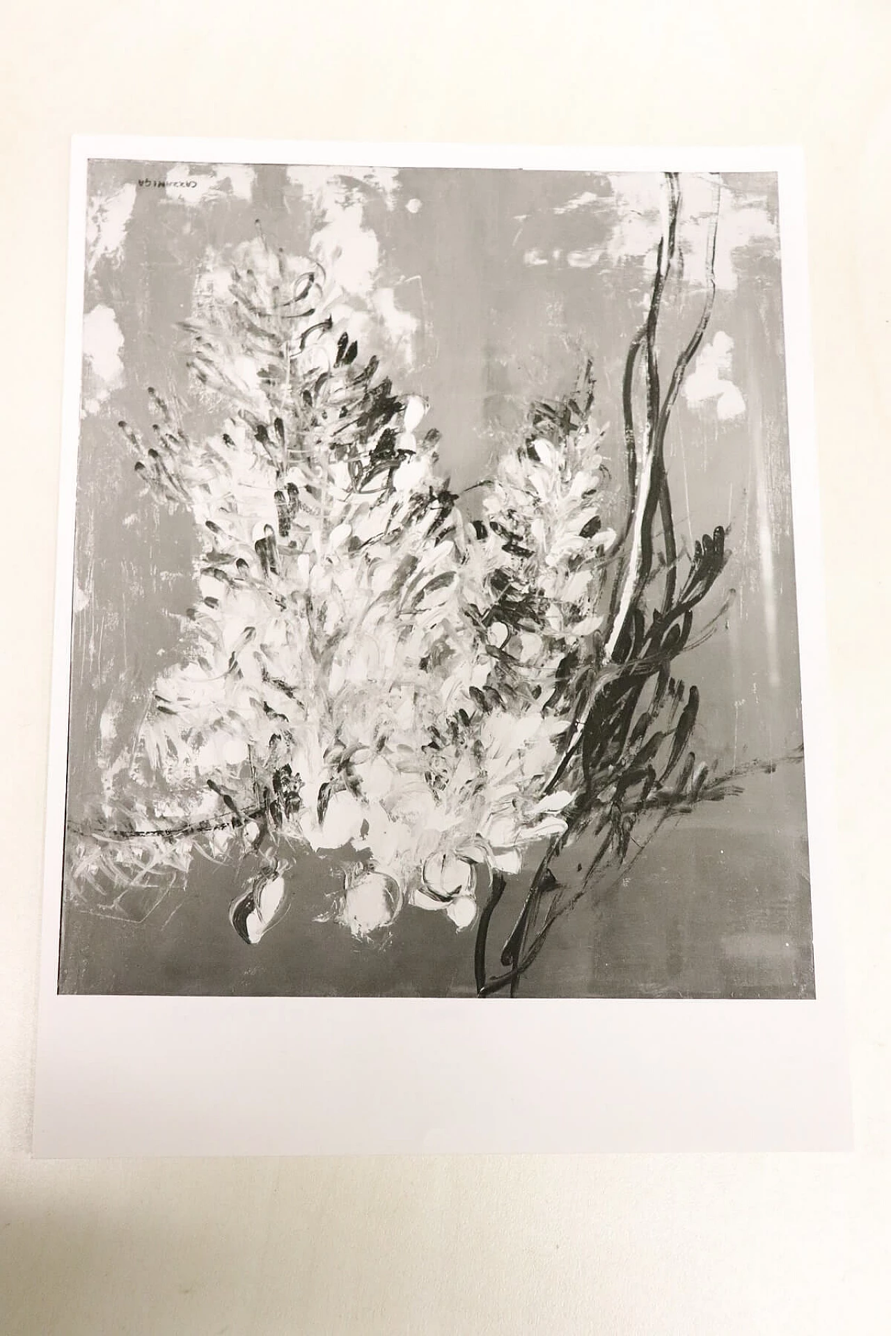 “Glicine”, dipinto olio su tela di Giancarlo Cazzaniga (1930-2013) 1083197