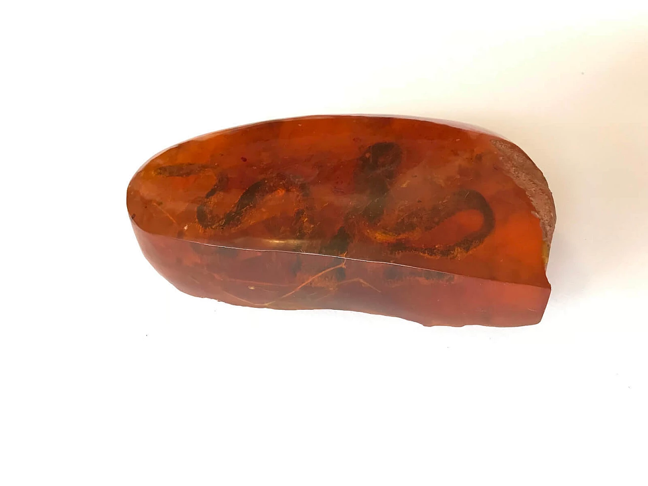 Resin shape reproducing amber with snake 3
