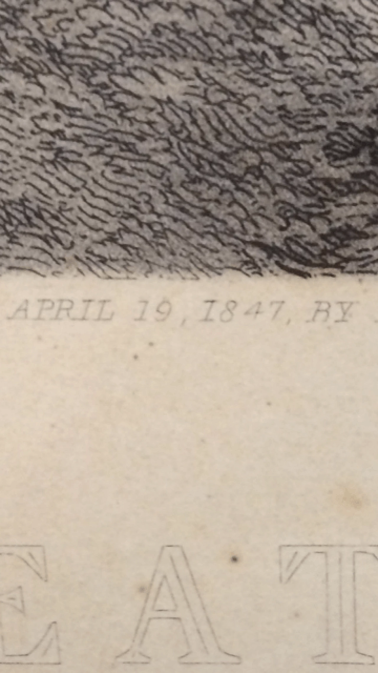 Stampa con scena di caccia al cervo '800 4