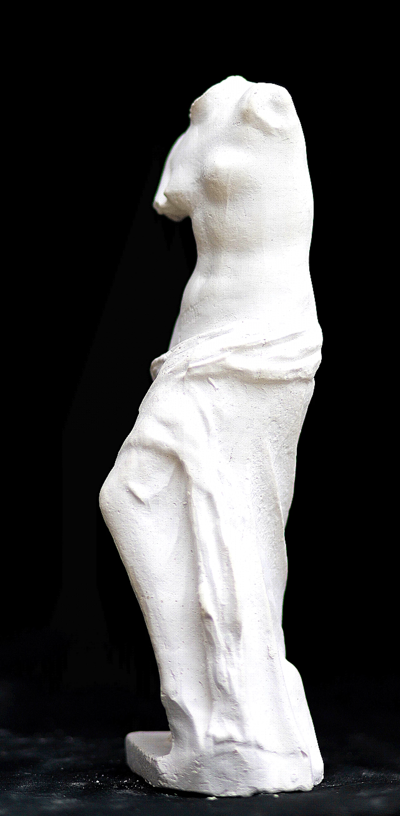 Venus de Milo in plaster 1150566
