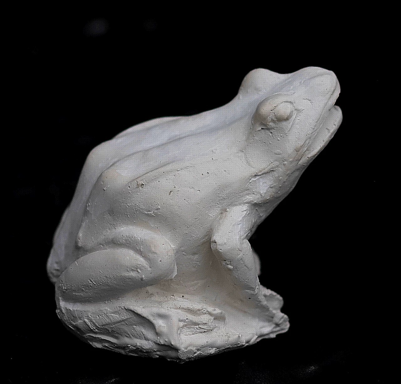 Scultura di Rana in gesso 1150755