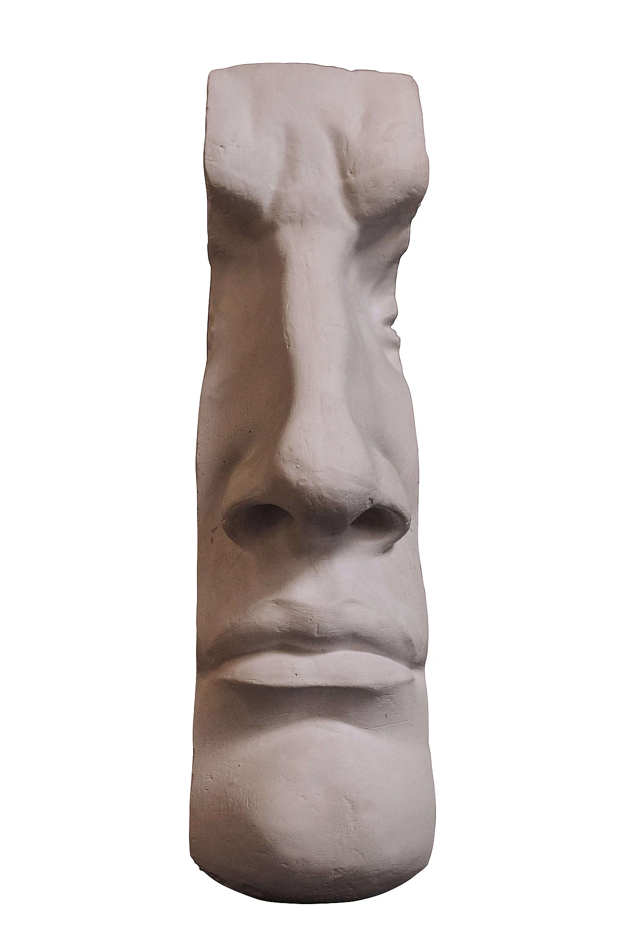 Profilo del David di Michelangelo in gesso 1151558