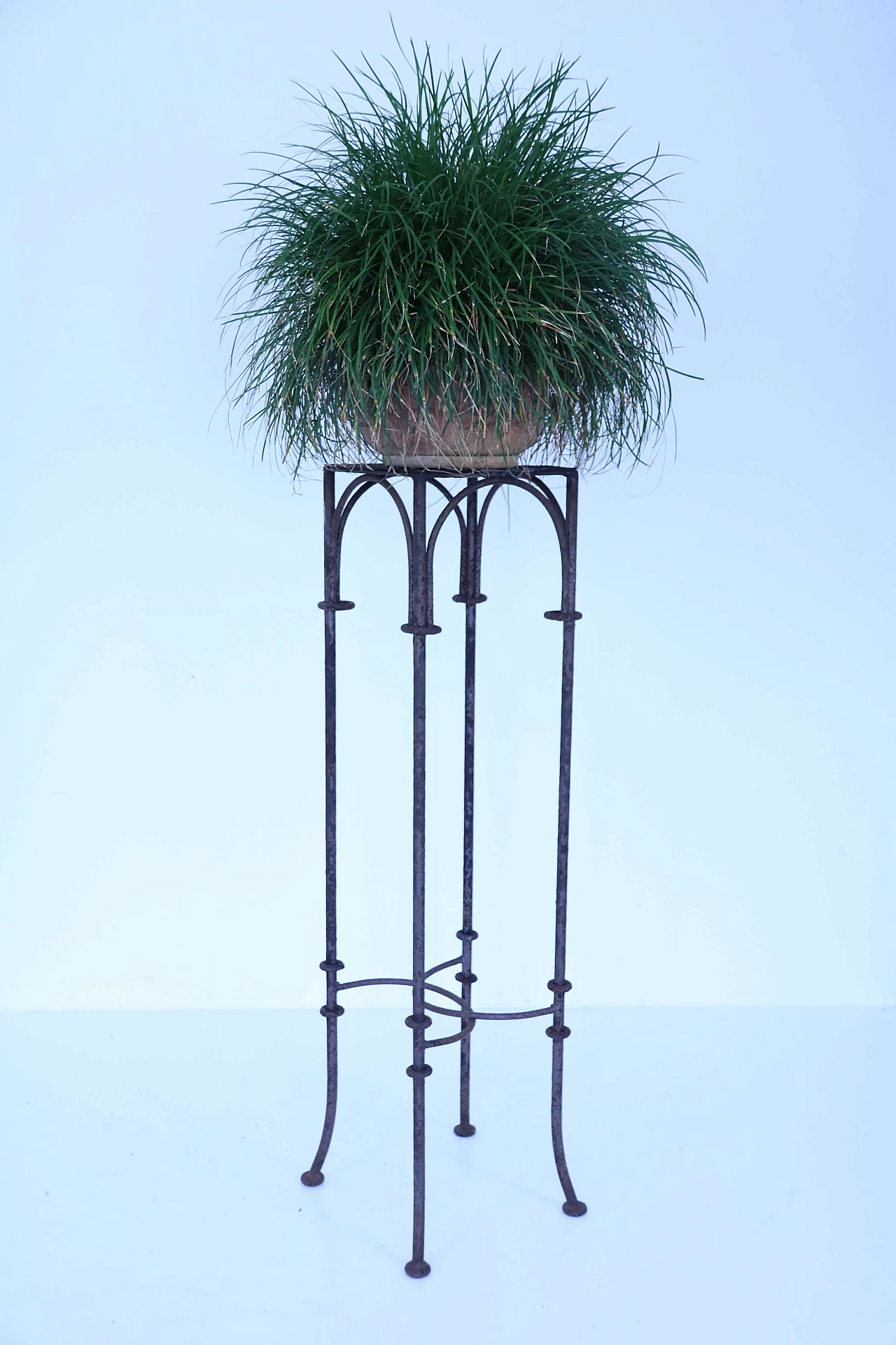 Iron structure for garden 1151912