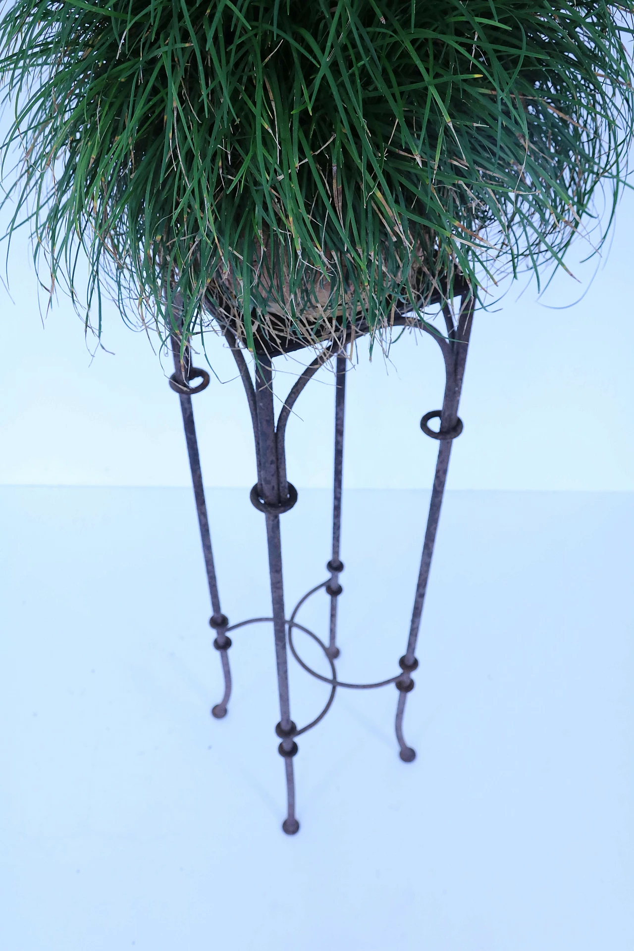 Iron structure for garden 1151914