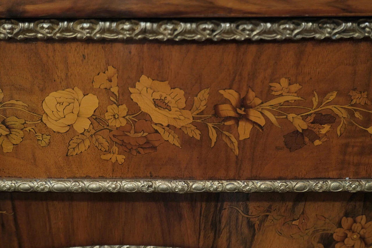English walnut briar display case, half of the 19th century 1158096