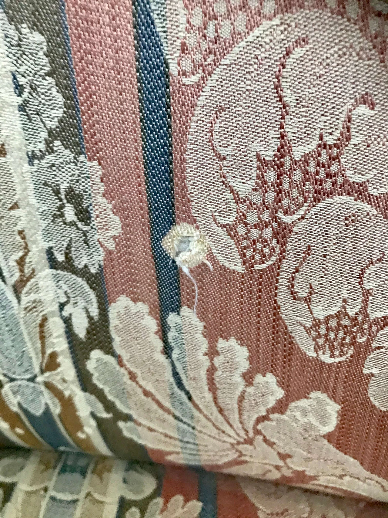 Coppia di poltrone Inglesi mosse in mogano, '800 1165379