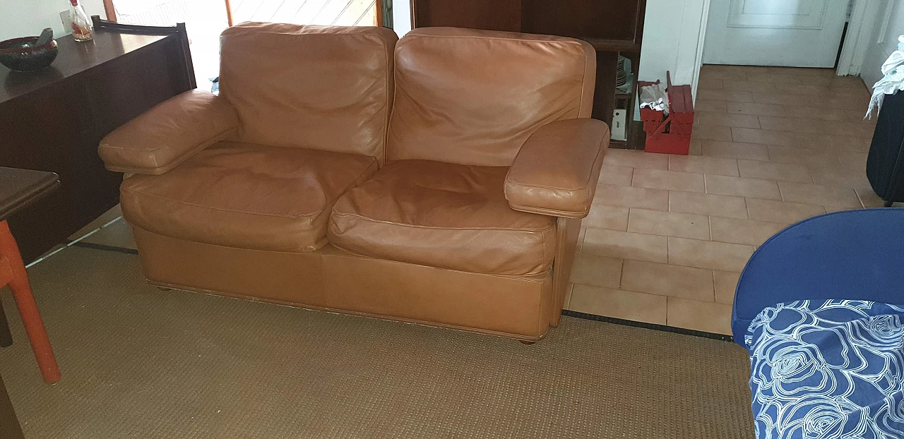 Frau leather sofa, 80s 1174434