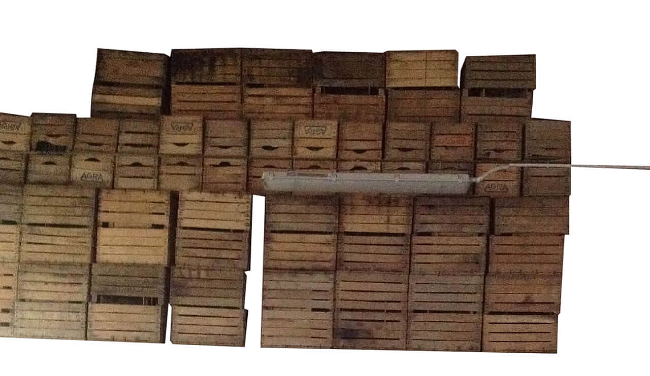Cassette da frutta in legno, anni '50 1102478