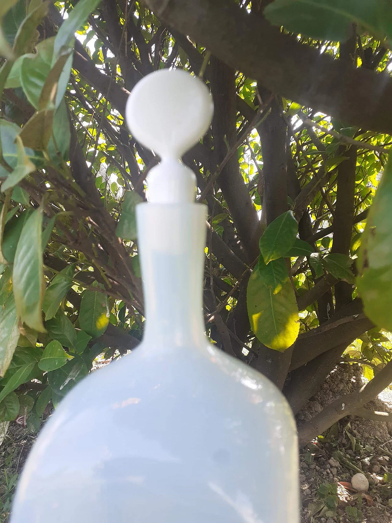 Bottiglia Girasol di Vittorio Zecchin per A.VE.M. 1103486