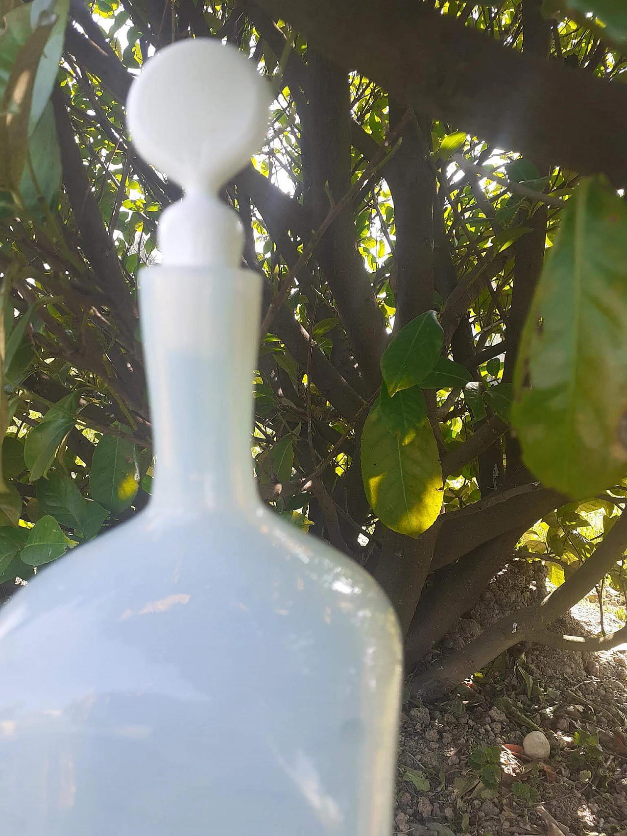 Bottiglia Girasol di Vittorio Zecchin per A.VE.M. 1103487