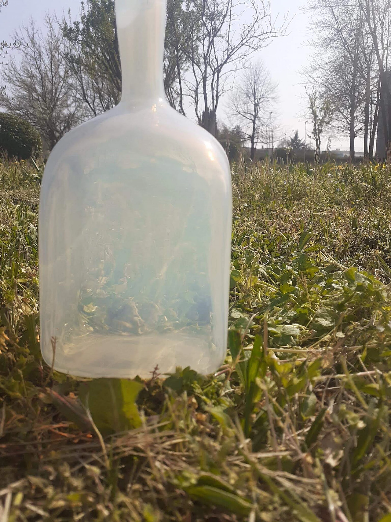 Bottiglia Girasol di Vittorio Zecchin per A.VE.M. 1103495