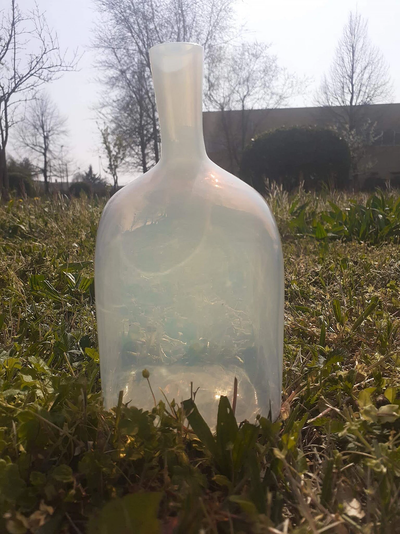 Bottiglia Girasol di Vittorio Zecchin per A.VE.M. 1103497
