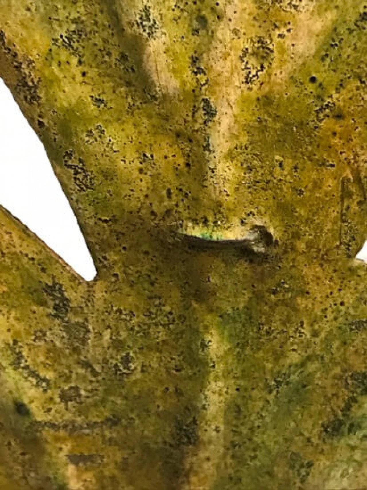 Applique in stile settecentesco policromata verde con 5 punti luce, '900 1104052