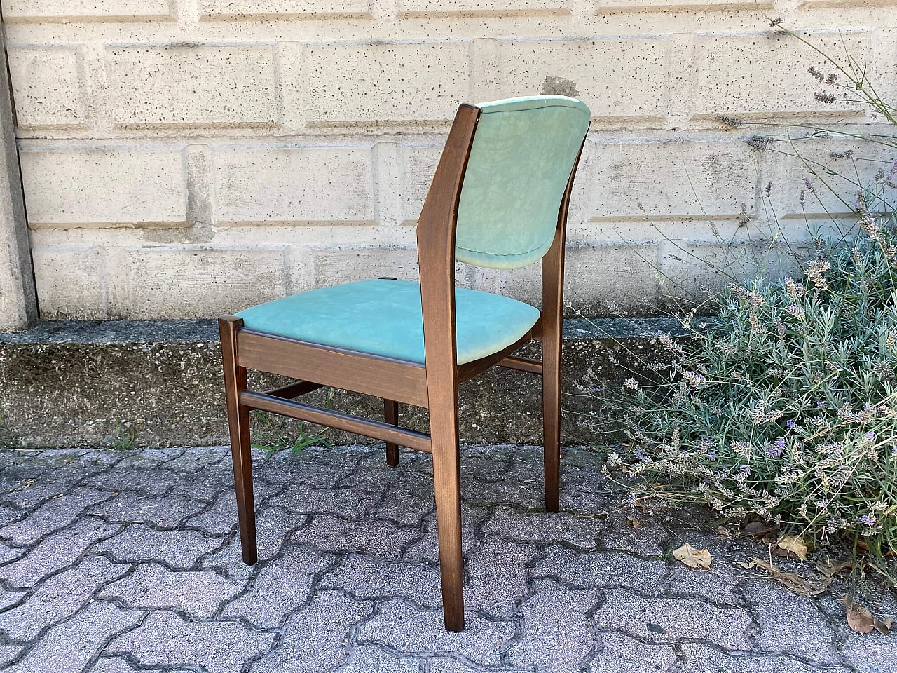 6 Sedie in faggio, anni '60 1132585