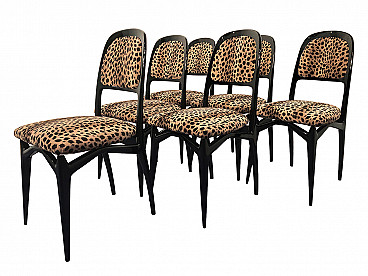 6 Ebonized dining chairs by Vittorio Dassi, 1950s