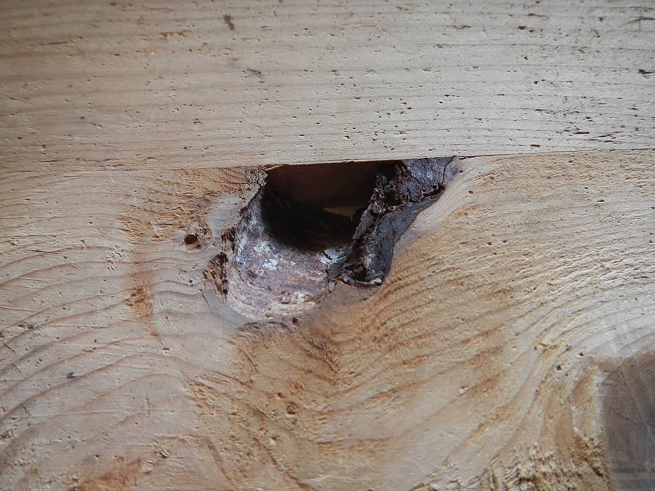 Wooden bookcase, 70s 1134150