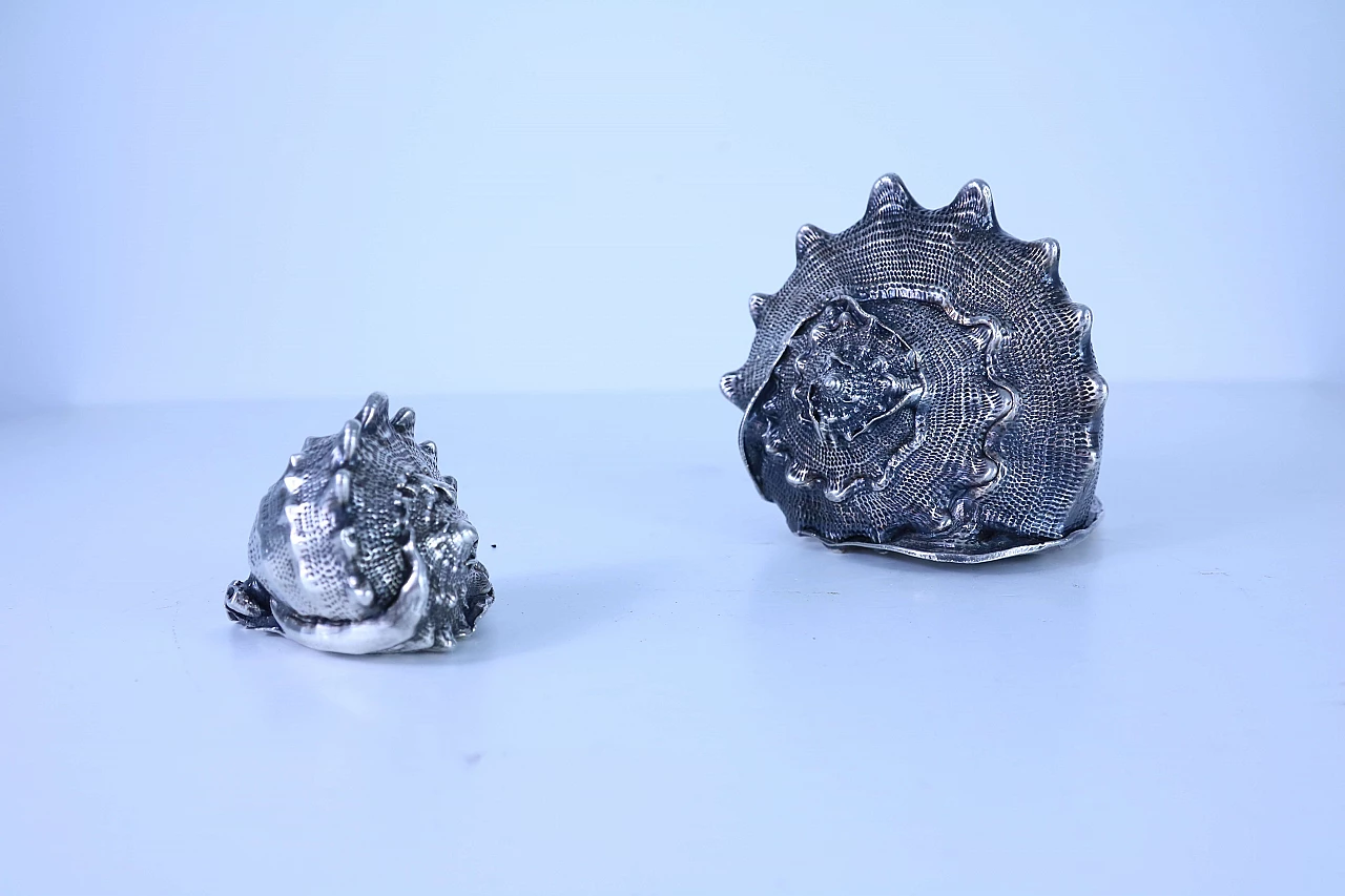 Pair of silver coated shells 1143663