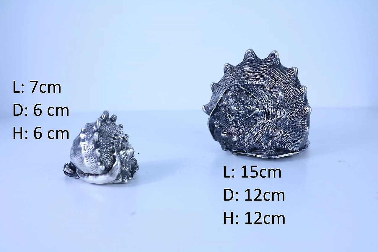 Pair of silver coated shells 1143664