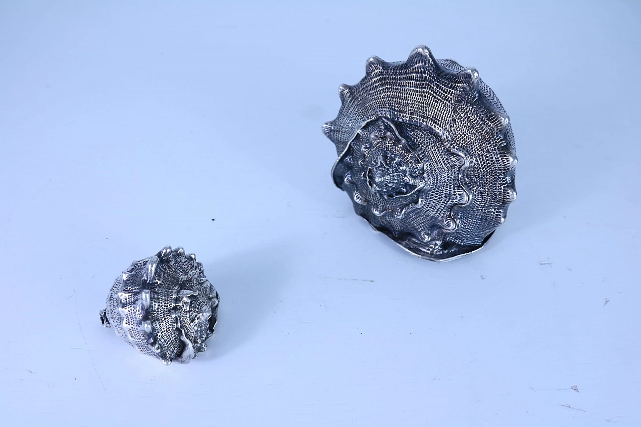 Pair of silver coated shells 1143665