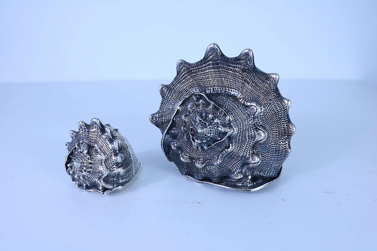 Pair of silver coated shells 1143666