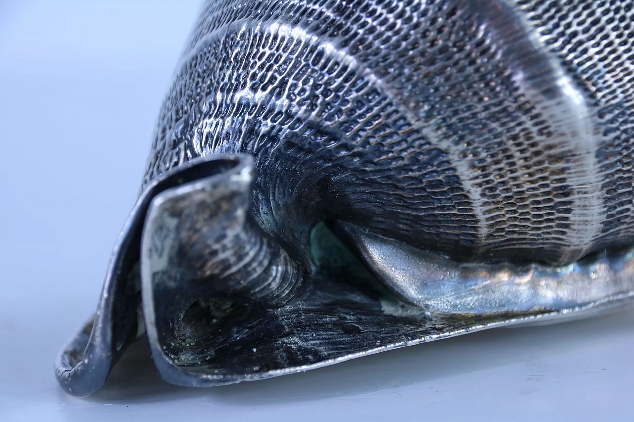 Pair of silver coated shells 1143671