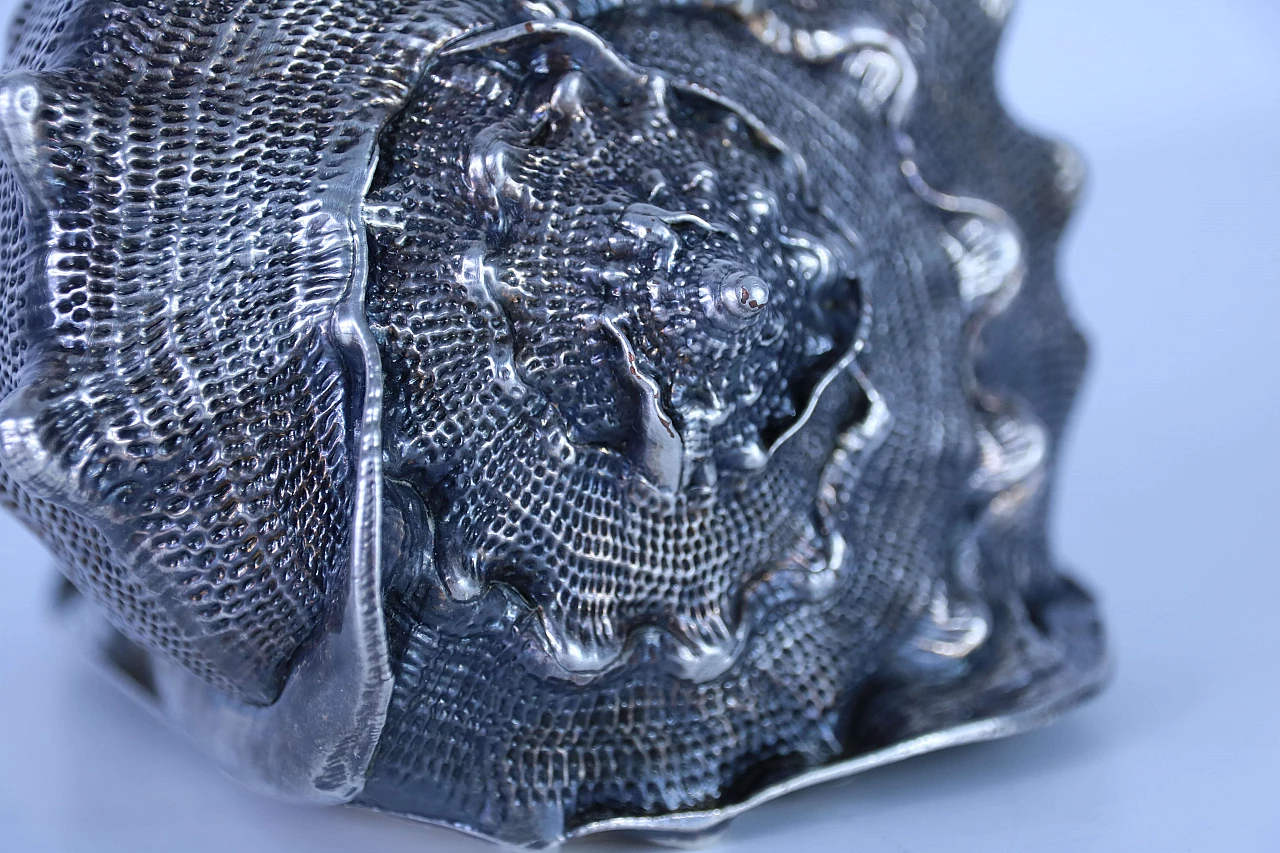 Pair of silver coated shells 1143672