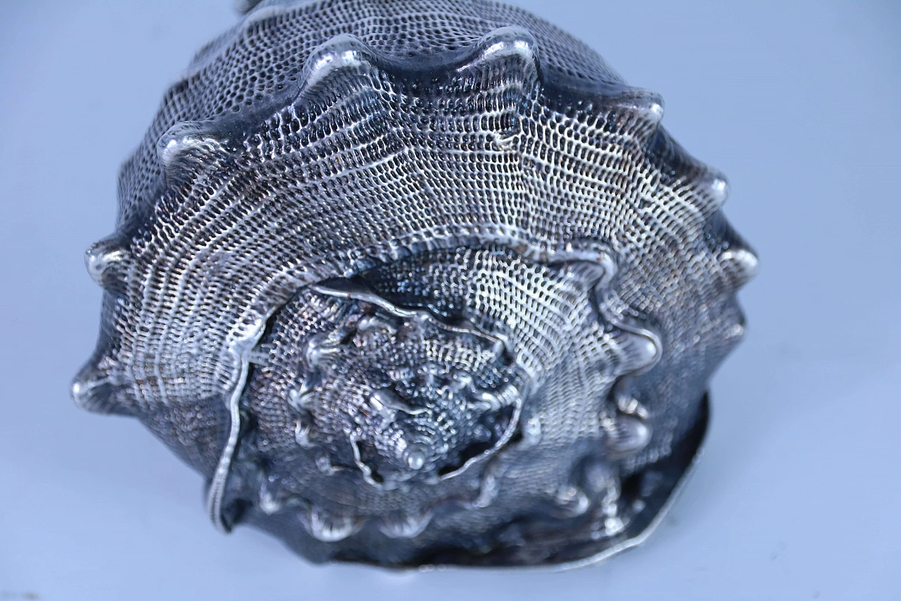 Pair of silver coated shells 1143673