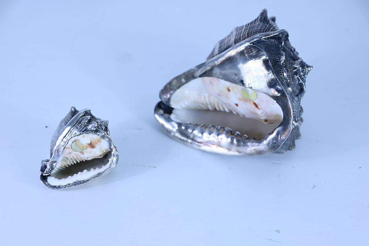 Pair of silver coated shells 1143674