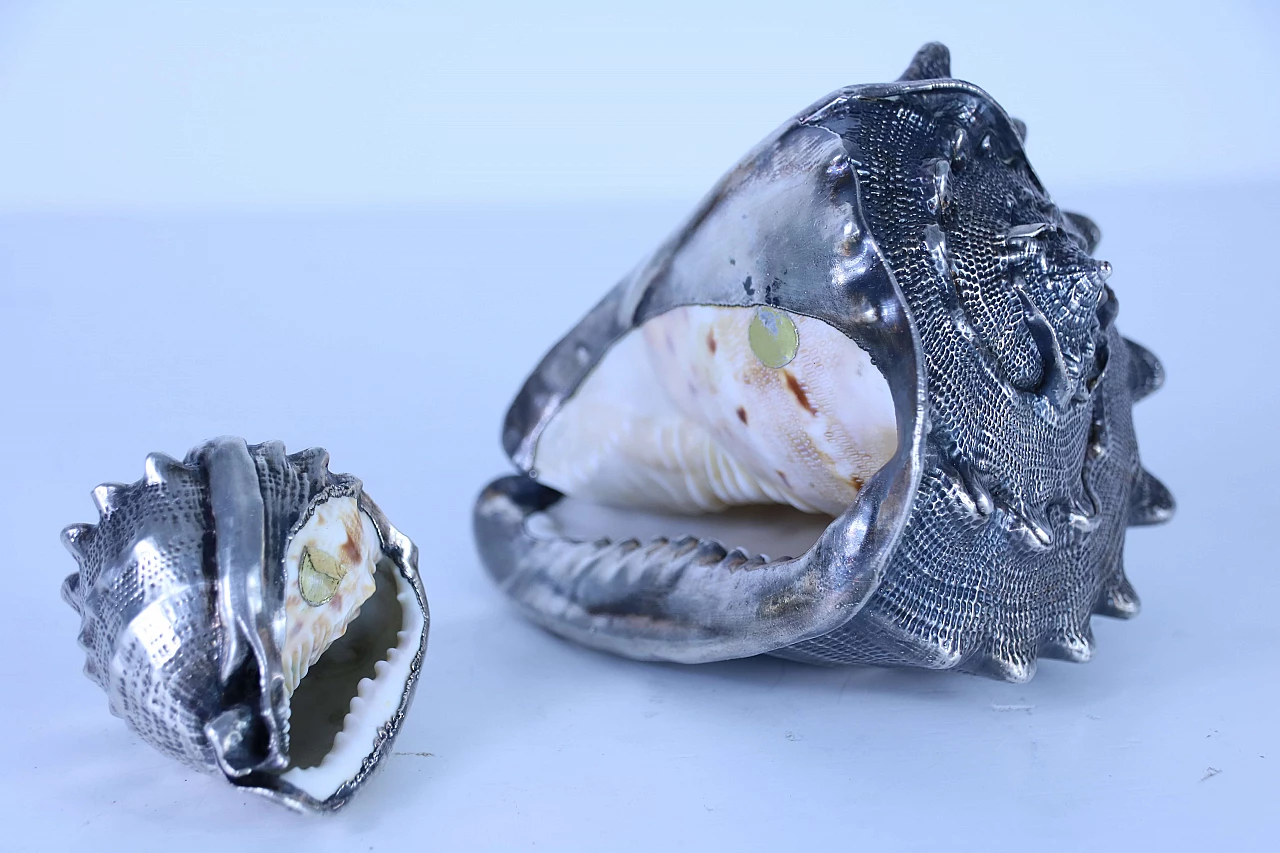 Pair of silver coated shells 1143675