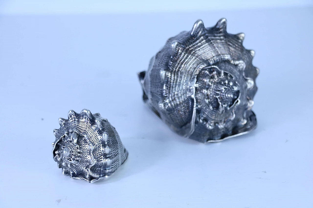 Pair of silver coated shells 1143678