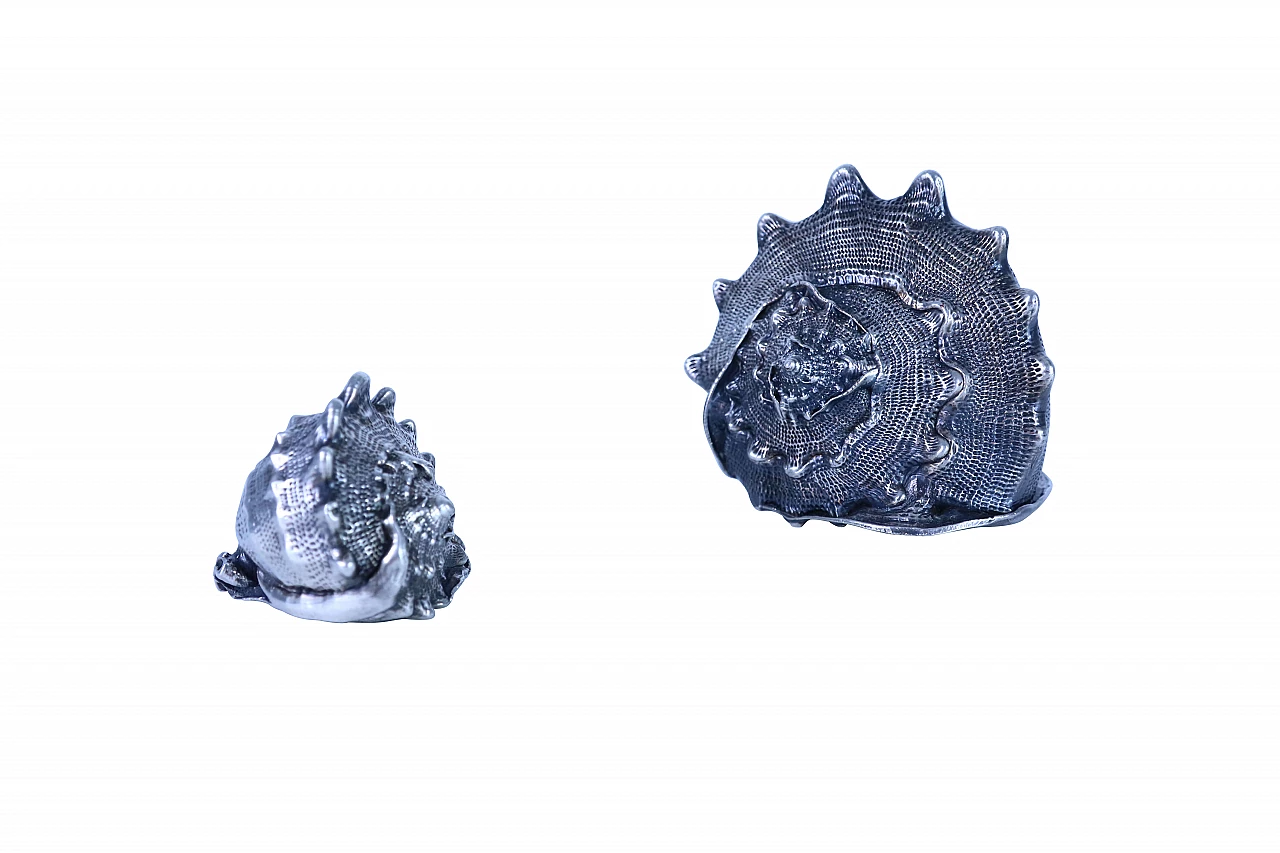 Pair of silver coated shells 1144590