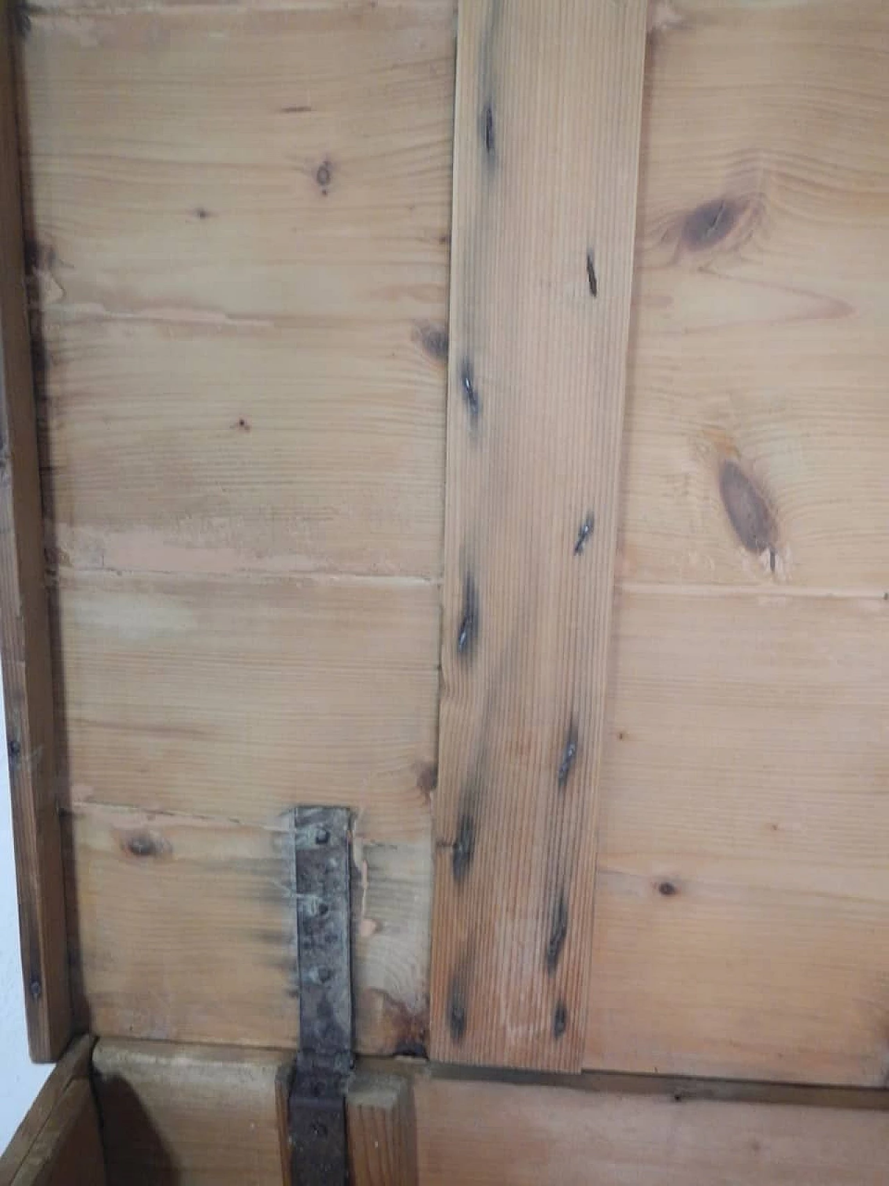 Trunk or case in fir wood with lid, 50s 1180570