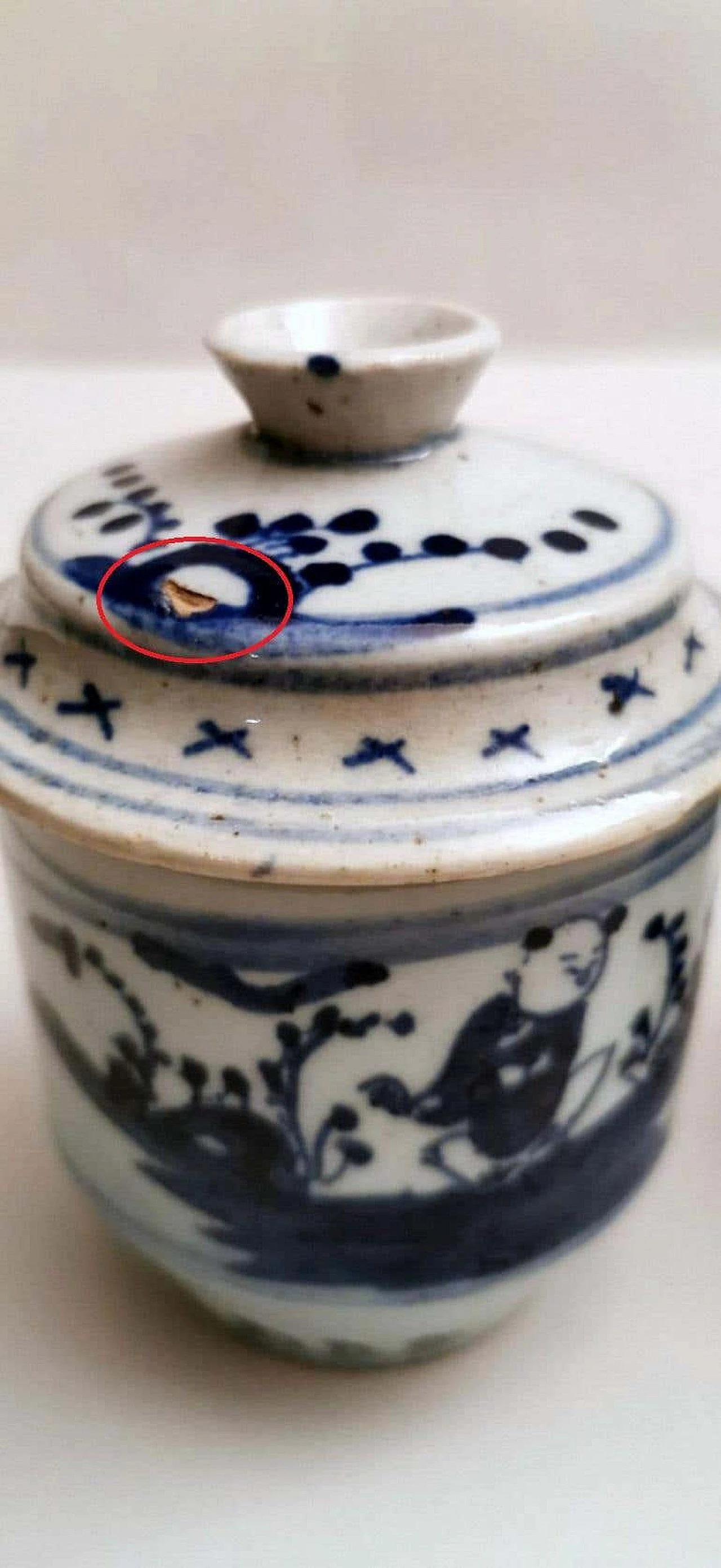 Coppia di vasetti per zenzero in porcellana con decorazioni in blu cobalto 1188333