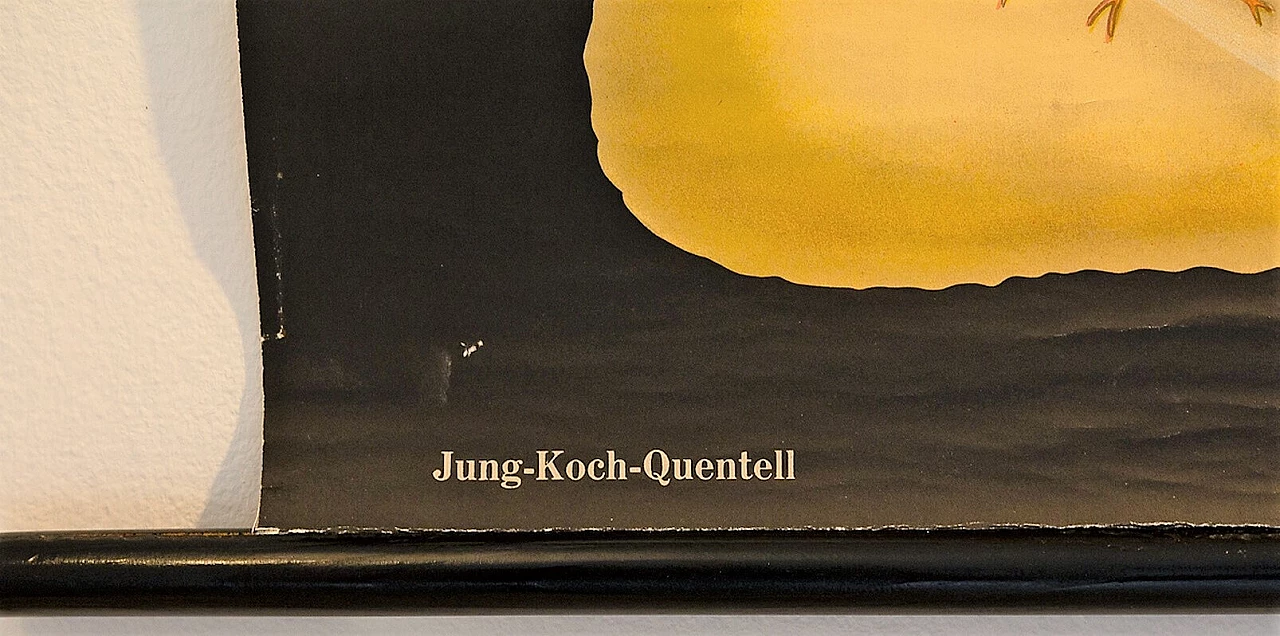 School poster of Mollusco, Jung Koch Quentelle 1199136