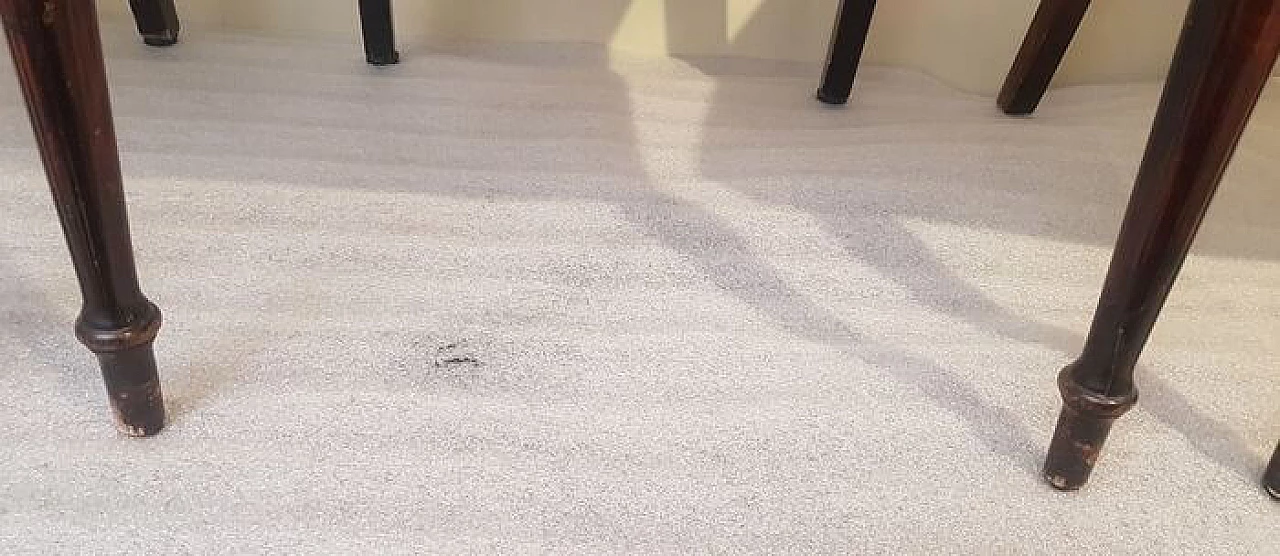 6 Sedie in legno e tessuto, anni '40 1230131