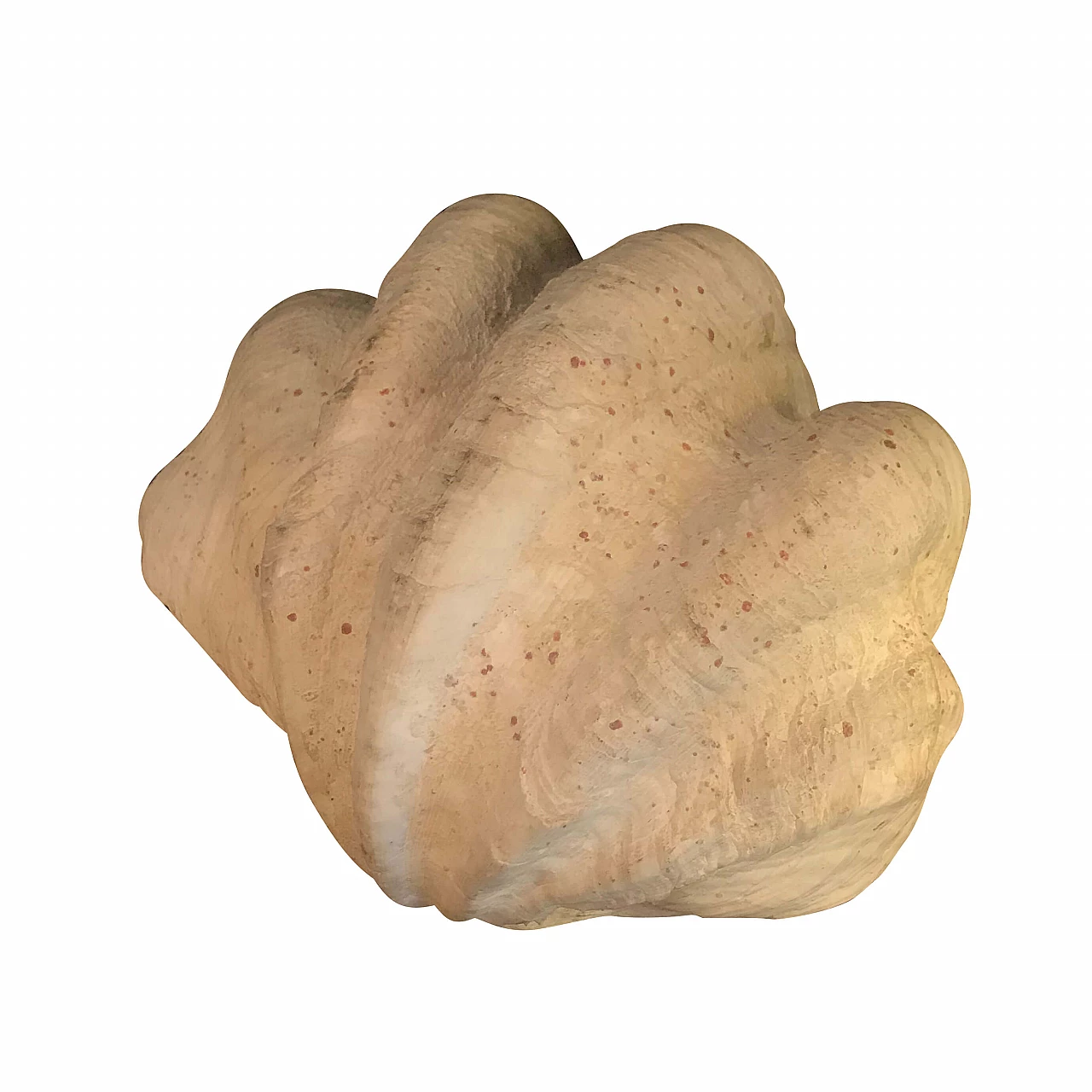 White decorative shell, 60s 1240475