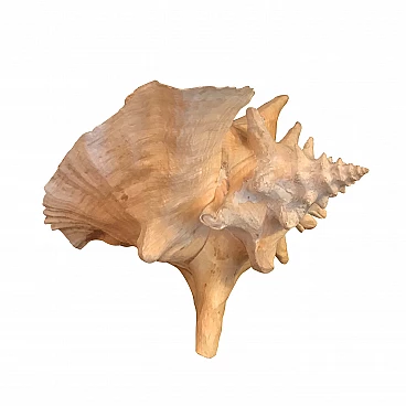 Decorative white and pink seashell, '60