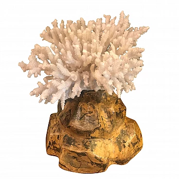 Coral on marbled wooden pedestal, late 19th century