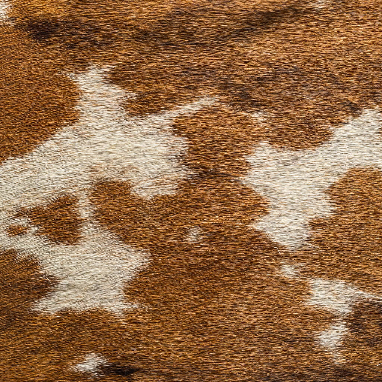 Banci table lamp in cowhide skin, 70s 1249692