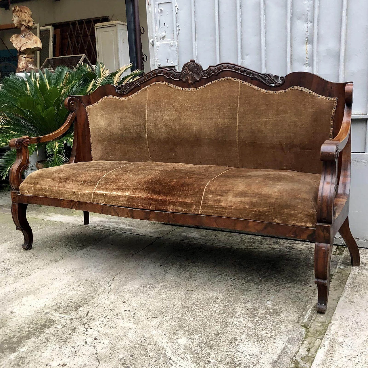 Divano in stile Carlo X in noce, '800 1252338