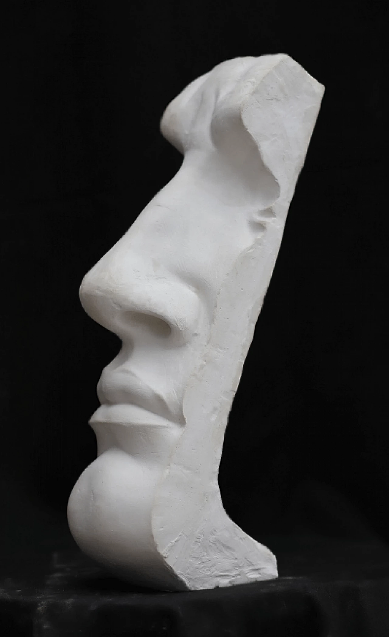 Plaster profile of Michelangelo's David 1260346