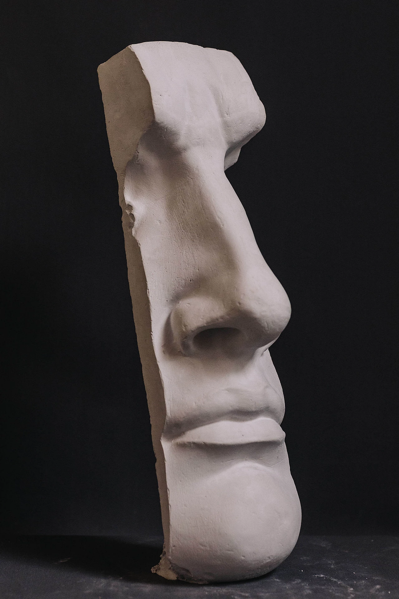 Profilo del David di Michelangelo in gesso 1260347
