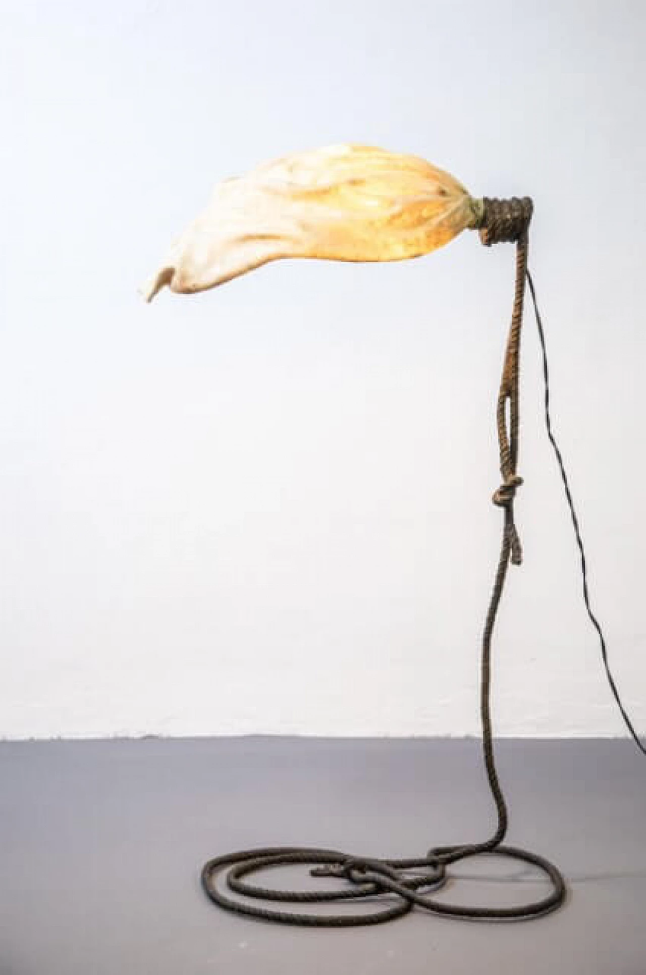 Floor lamp in fiberglass and bronze by Annibale Oste, 60s 1261759