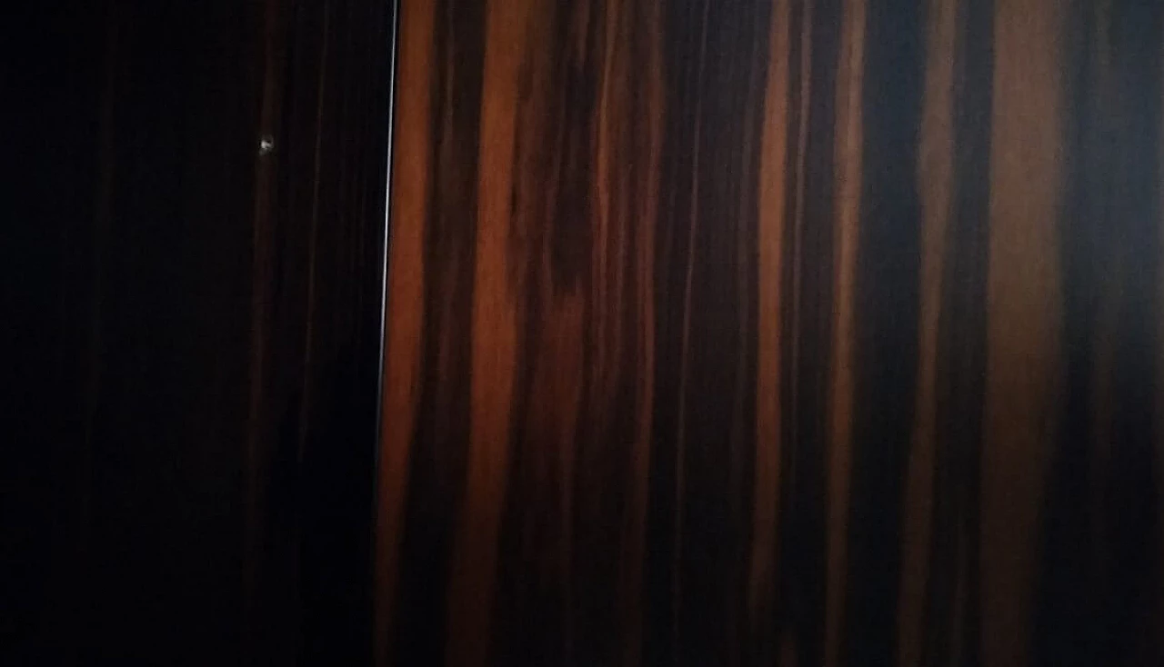 Armadio in macassar, ebano e bronzo di Luciano Frigerio per Desio, anni '50 1262233