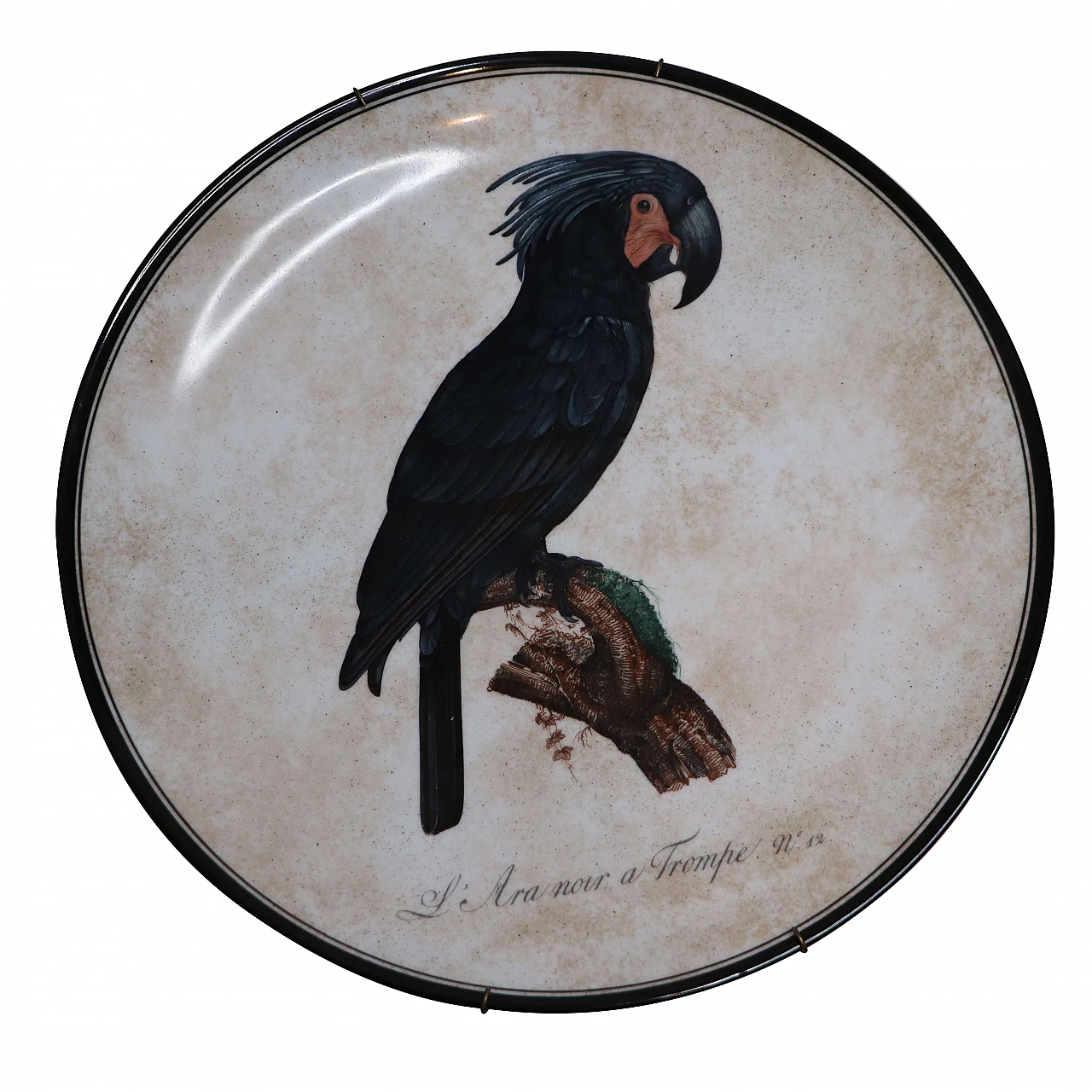L'ara Noir a tromper, wall plate Perroquets collection, Manifattura Ginori 1265780